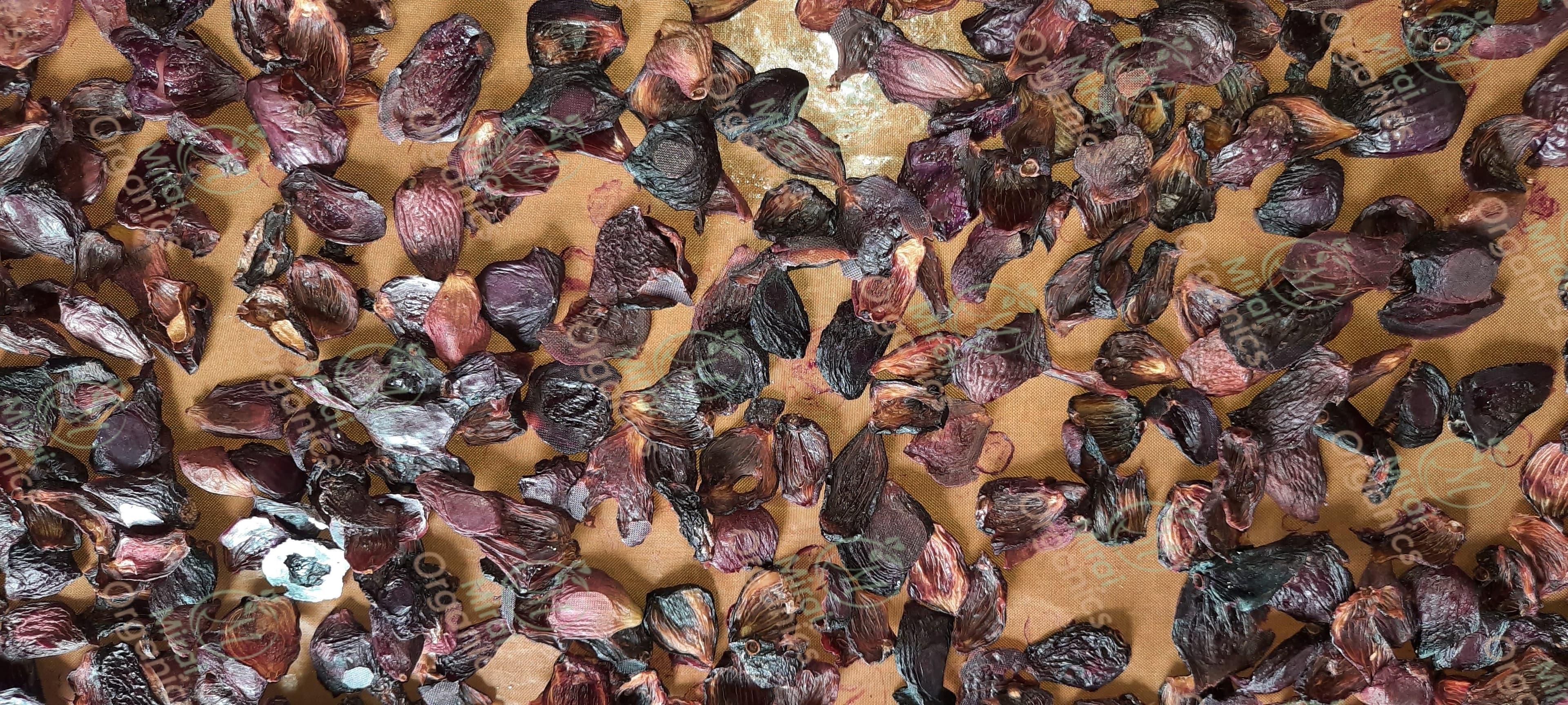 Dehydrated Jamun Slice (Without Sugar)