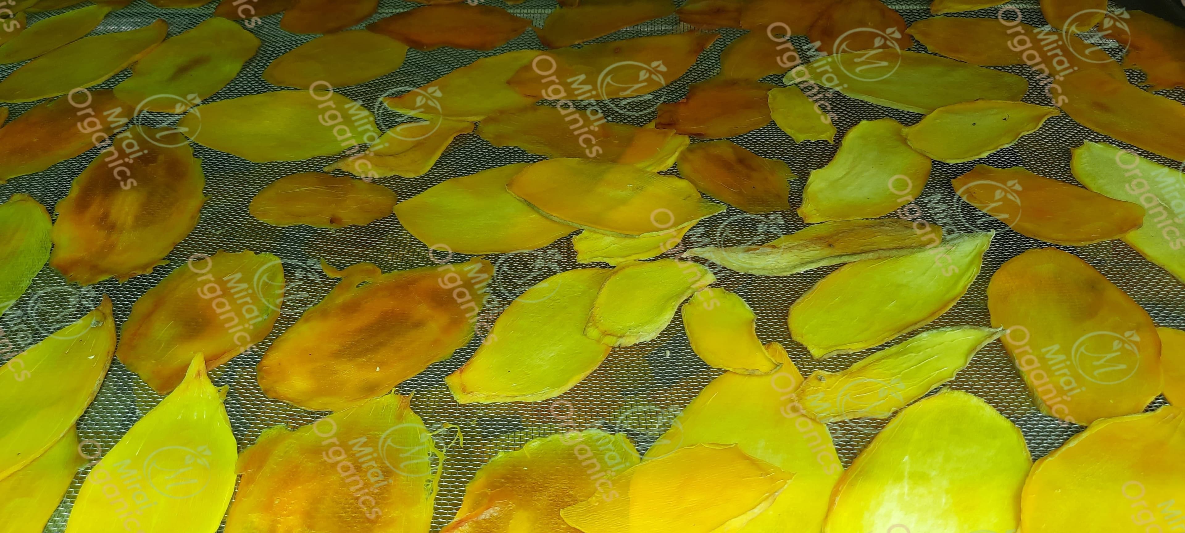 Dehydrated Mango (Without Sugar)