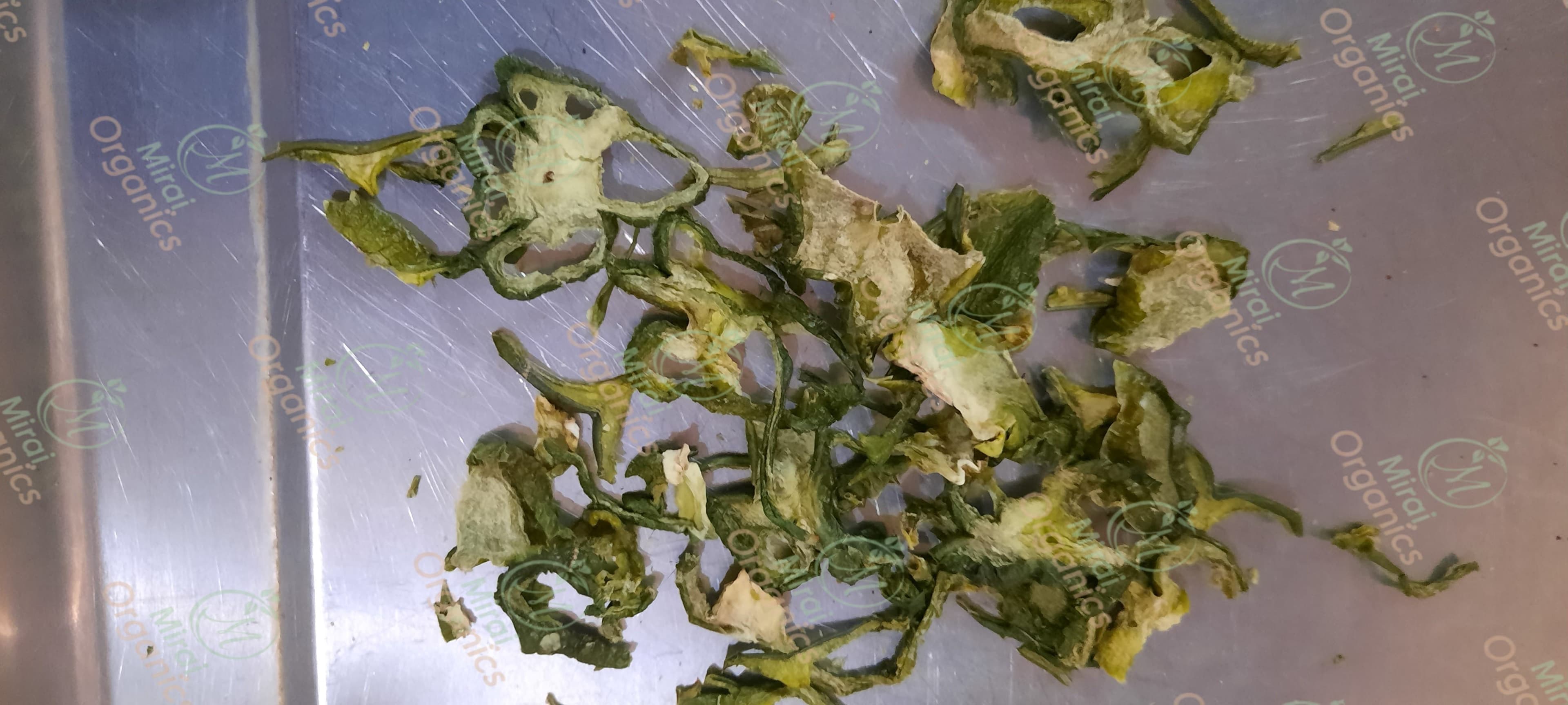 Dehydrated Capsicum Chunks (Green)