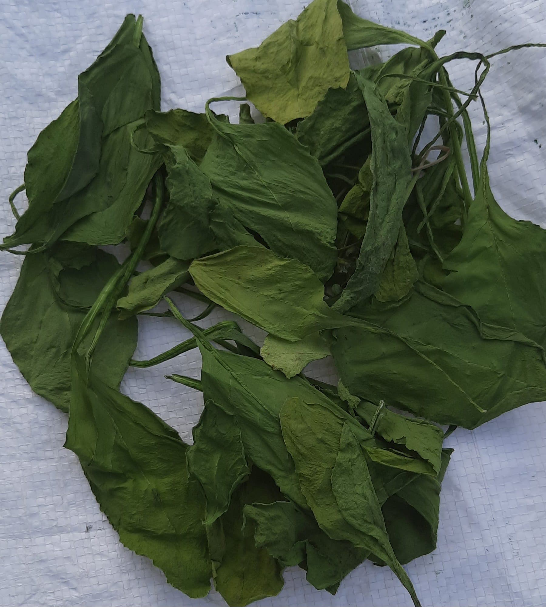 Dehydrated Spinach (Whole Leaf)