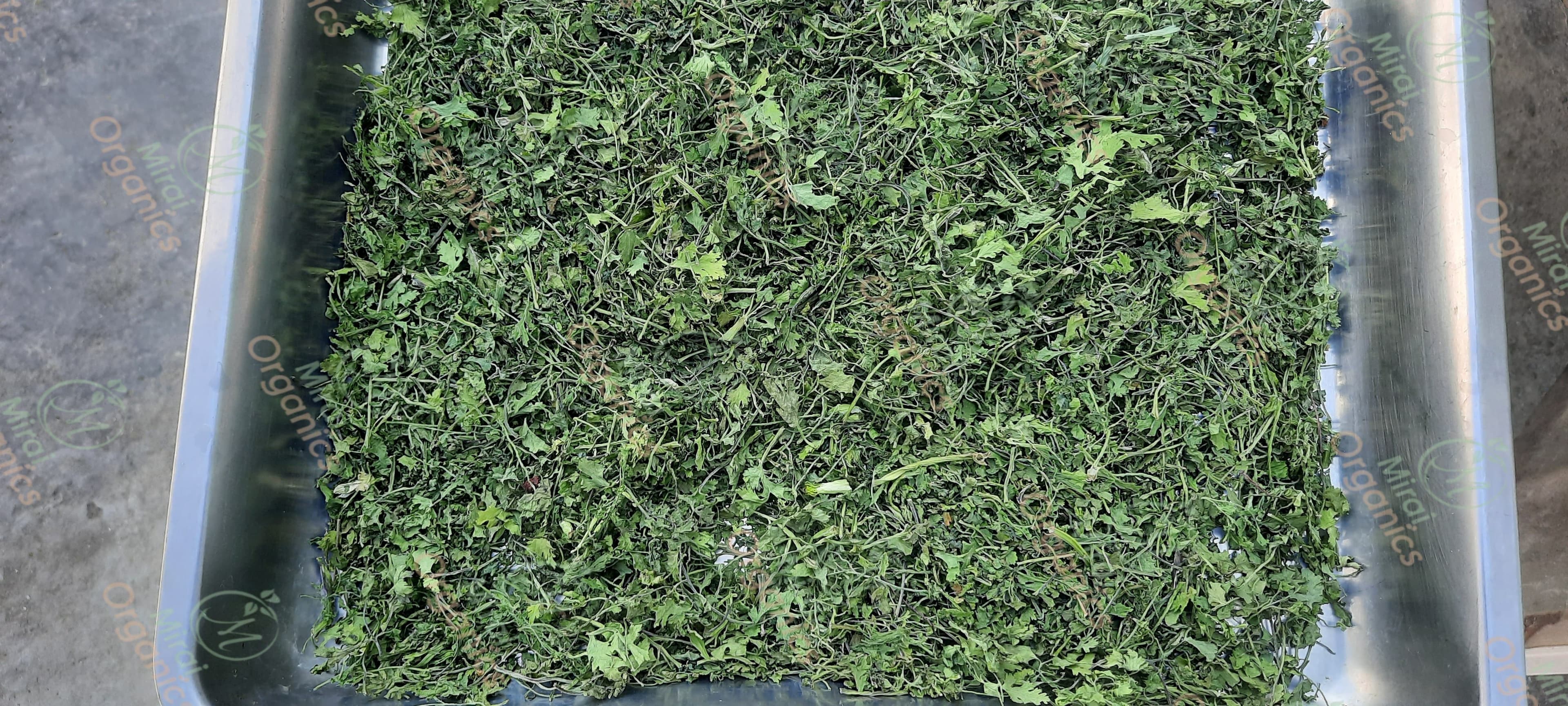 Dry Coriander Leaf