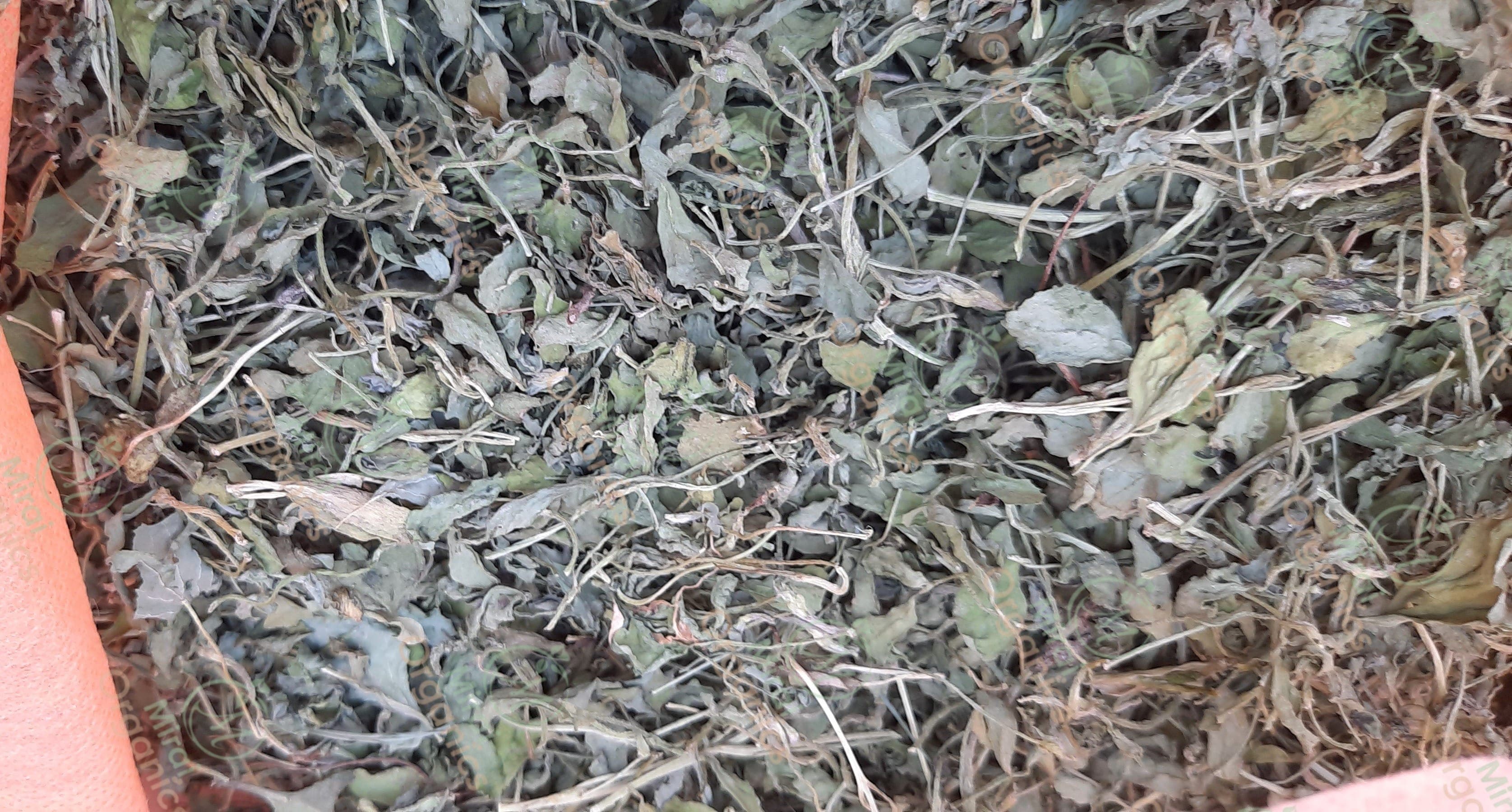 Dried Tulsi Leaf