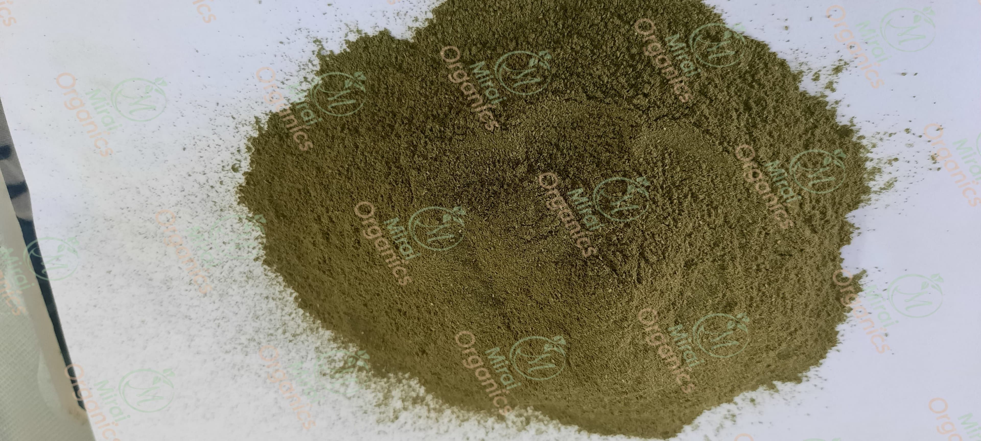 Coriander Leaf Powder