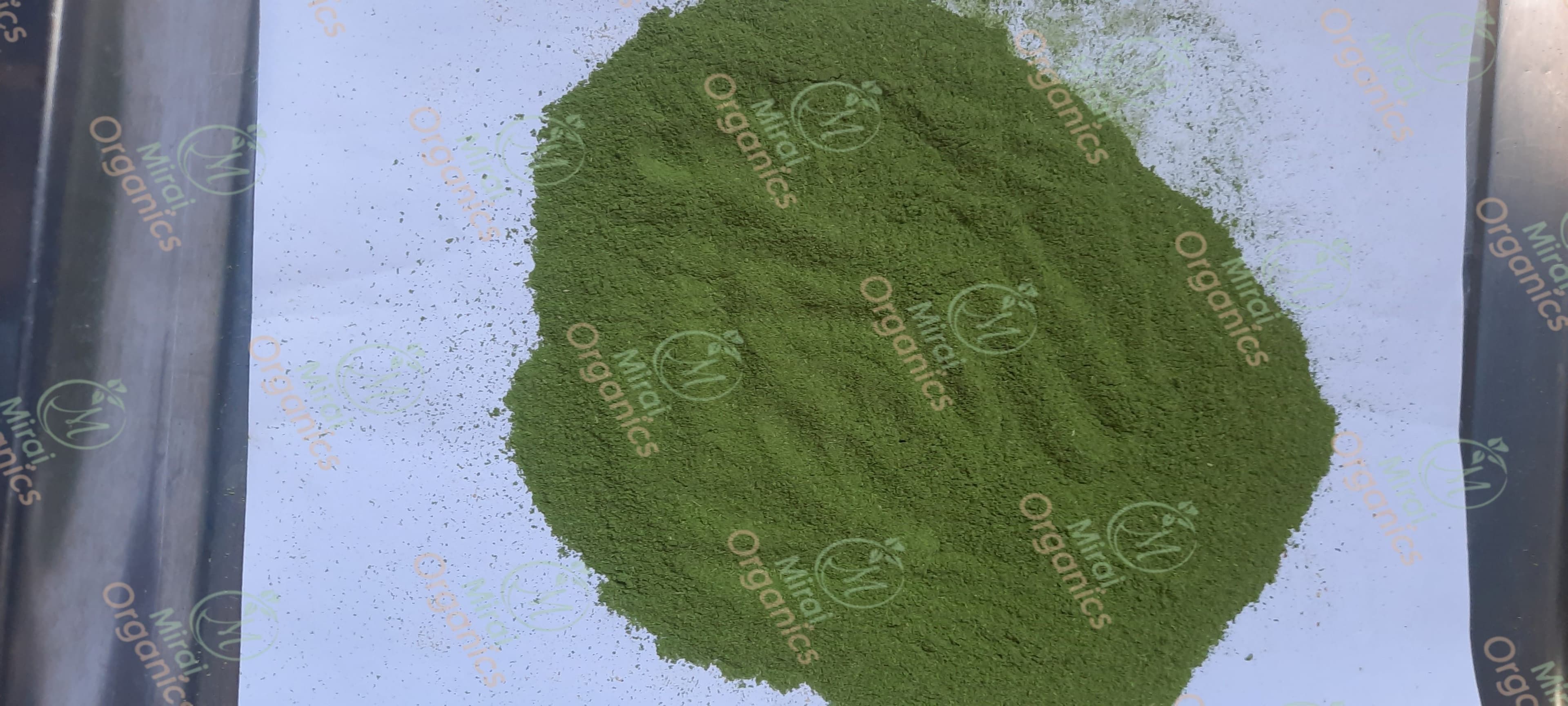 Dehydrated Spinach Powder