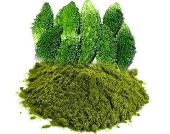 Dehydrated Bitter Gourd Powder