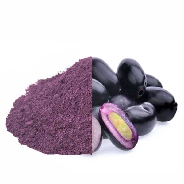 Dehydrated Jamun Powder