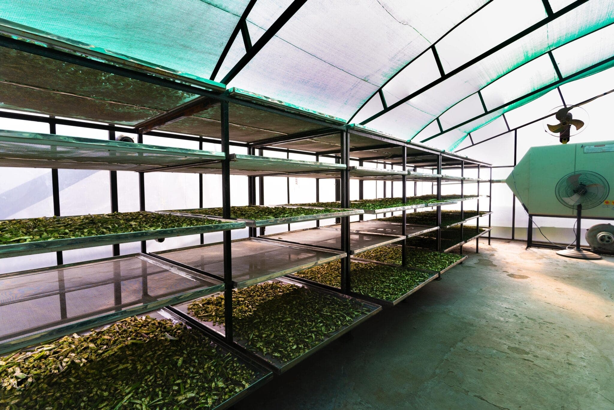 Mirai Organics production facility